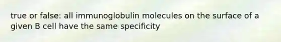 true or false: all immunoglobulin molecules on the surface of a given B cell have the same specificity