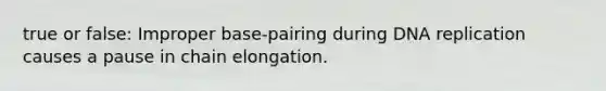 true or false: Improper base-pairing during DNA replication causes a pause in chain elongation.