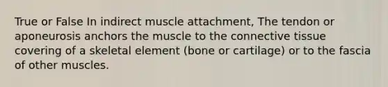 True or False In indirect muscle attachment, The tendon or aponeurosis anchors the muscle to the <a href='https://www.questionai.com/knowledge/kYDr0DHyc8-connective-tissue' class='anchor-knowledge'>connective tissue</a> covering of a skeletal element (bone or cartilage) or to the fascia of other muscles.