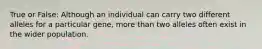 True or False: Although an individual can carry two different alleles for a particular gene, more than two alleles often exist in the wider population.