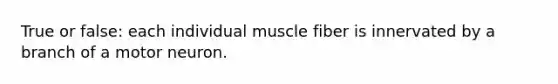 True or false: each individual muscle fiber is innervated by a branch of a motor neuron.