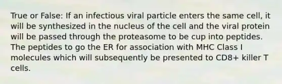 True or False: If an infectious viral particle enters the same cell, it will be synthesized in the nucleus of the cell and the viral protein will be passed through the proteasome to be cup into peptides. The peptides to go the ER for association with MHC Class I molecules which will subsequently be presented to CD8+ killer T cells.