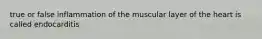 true or false inflammation of the muscular layer of the heart is called endocarditis