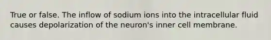 True or false. The inflow of sodium ions into the intracellular fluid causes depolarization of the neuron's inner cell membrane.