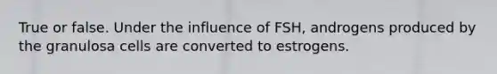 True or false. Under the influence of FSH, androgens produced by the granulosa cells are converted to estrogens.