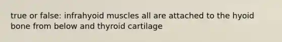 true or false: infrahyoid muscles all are attached to the hyoid bone from below and thyroid cartilage