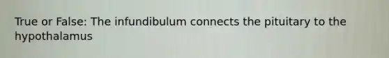 True or False: The infundibulum connects the pituitary to the hypothalamus