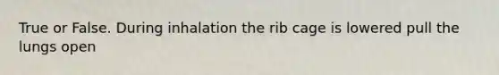 True or False. During inhalation the rib cage is lowered pull the lungs open