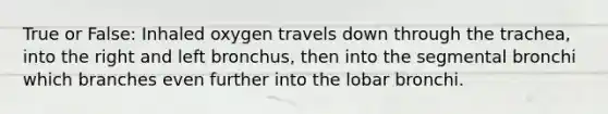 True or False: Inhaled oxygen travels down through the trachea, into the right and left bronchus, then into the segmental bronchi which branches even further into the lobar bronchi.