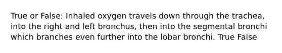 True or False: Inhaled oxygen travels down through the trachea, into the right and left bronchus, then into the segmental bronchi which branches even further into the lobar bronchi. True False