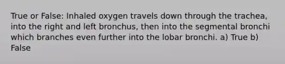 True or False: Inhaled oxygen travels down through the trachea, into the right and left bronchus, then into the segmental bronchi which branches even further into the lobar bronchi. a) True b) False