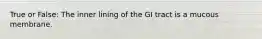 True or False: The inner lining of the GI tract is a mucous membrane.