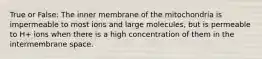 True or False: The inner membrane of the mitochondria is impermeable to most ions and large molecules, but is permeable to H+ ions when there is a high concentration of them in the intermembrane space.