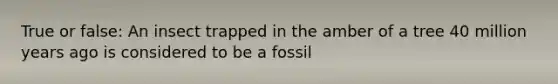 True or false: An insect trapped in the amber of a tree 40 million years ago is considered to be a fossil