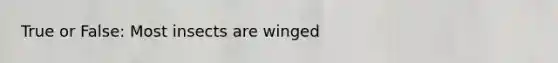 True or False: Most insects are winged