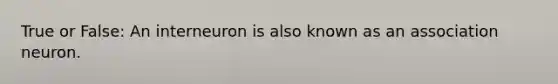 True or False: An interneuron is also known as an association neuron.