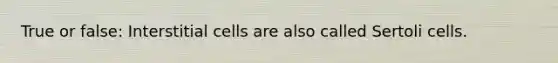 True or false: Interstitial cells are also called Sertoli cells.