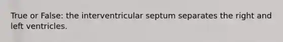 True or False: the interventricular septum separates the right and left ventricles.