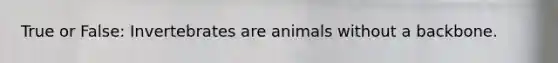 True or False: Invertebrates are animals without a backbone.