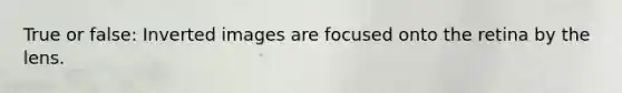 True or false: Inverted images are focused onto the retina by the lens.