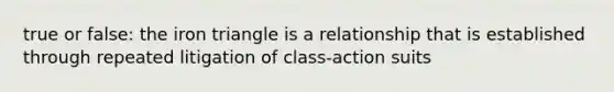 true or false: the iron triangle is a relationship that is established through repeated litigation of class-action suits