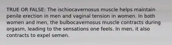 TRUE OR FALSE: The ischiocavernosus muscle helps maintain penile erection in men and vaginal tension in women. In both women and men, the bulbocavernosus muscle contracts during orgasm, leading to the sensations one feels. In men, it also contracts to expel semen.