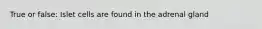 True or false: Islet cells are found in the adrenal gland
