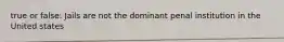 true or false: Jails are not the dominant penal institution in the United states