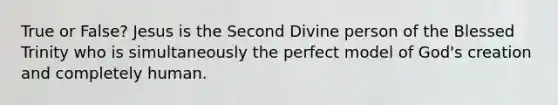 True or False? Jesus is the Second Divine person of the Blessed Trinity who is simultaneously the perfect model of God's creation and completely human.