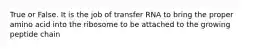 True or False. It is the job of transfer RNA to bring the proper amino acid into the ribosome to be attached to the growing peptide chain