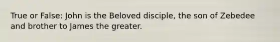 True or False: John is the Beloved disciple, the son of Zebedee and brother to James the greater.