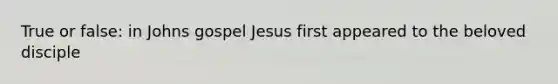 True or false: in Johns gospel Jesus first appeared to the beloved disciple