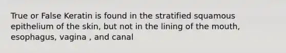 True or False Keratin is found in the stratified squamous epithelium of the skin, but not in the lining of the mouth, esophagus, vagina , and canal