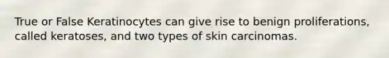 True or False Keratinocytes can give rise to benign proliferations, called keratoses, and two types of skin carcinomas.