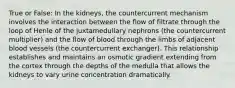 True or False: In the kidneys, the countercurrent mechanism involves the interaction between the flow of filtrate through the loop of Henle of the juxtamedullary nephrons (the countercurrent multiplier) and the flow of blood through the limbs of adjacent blood vessels (the countercurrent exchanger). This relationship establishes and maintains an osmotic gradient extending from the cortex through the depths of the medulla that allows the kidneys to vary urine concentration dramatically.