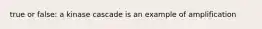 true or false: a kinase cascade is an example of amplification