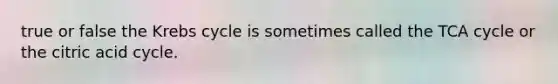true or false the <a href='https://www.questionai.com/knowledge/kqfW58SNl2-krebs-cycle' class='anchor-knowledge'>krebs cycle</a> is sometimes called the TCA cycle or the citric acid cycle.