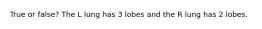 True or false? The L lung has 3 lobes and the R lung has 2 lobes.