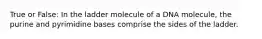 True or False: In the ladder molecule of a DNA molecule, the purine and pyrimidine bases comprise the sides of the ladder.