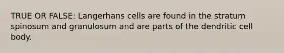 TRUE OR FALSE: Langerhans cells are found in the stratum spinosum and granulosum and are parts of the dendritic cell body.