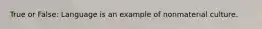 True or False: Language is an example of nonmaterial culture.