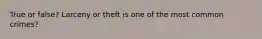 True or false? Larceny or theft is one of the most common crimes?