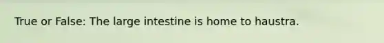 True or False: The large intestine is home to haustra.