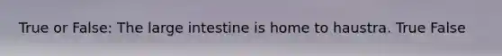 True or False: The <a href='https://www.questionai.com/knowledge/kGQjby07OK-large-intestine' class='anchor-knowledge'>large intestine</a> is home to haustra. True False