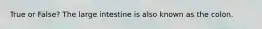 True or False? The large intestine is also known as the colon.