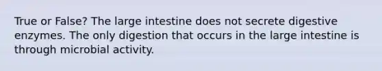 True or False? The large intestine does not secrete digestive enzymes. The only digestion that occurs in the large intestine is through microbial activity.