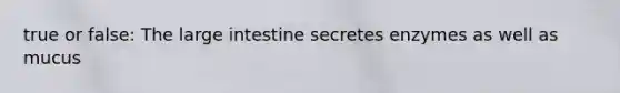 true or false: The large intestine secretes enzymes as well as mucus