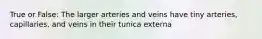 True or False: The larger arteries and veins have tiny arteries, capillaries, and veins in their tunica externa