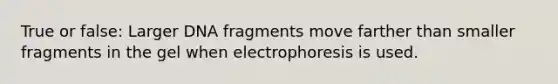 True or false: Larger DNA fragments move farther than smaller fragments in the gel when electrophoresis is used.