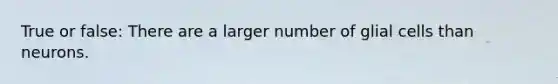 True or false: There are a larger number of glial cells than neurons.